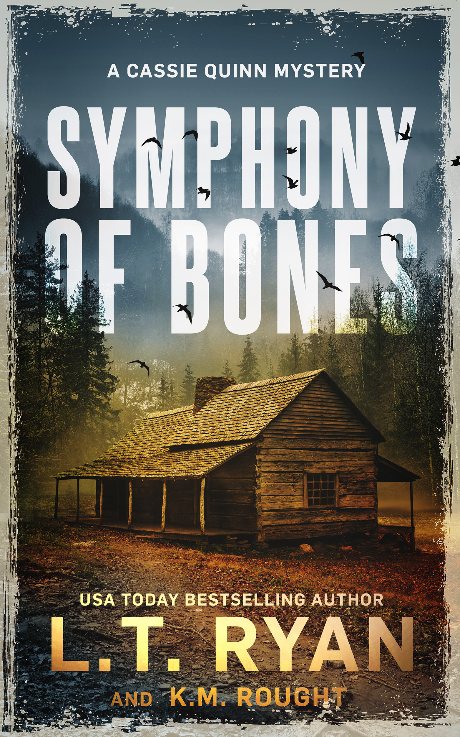 Sumphony Of Bones New 2 Small